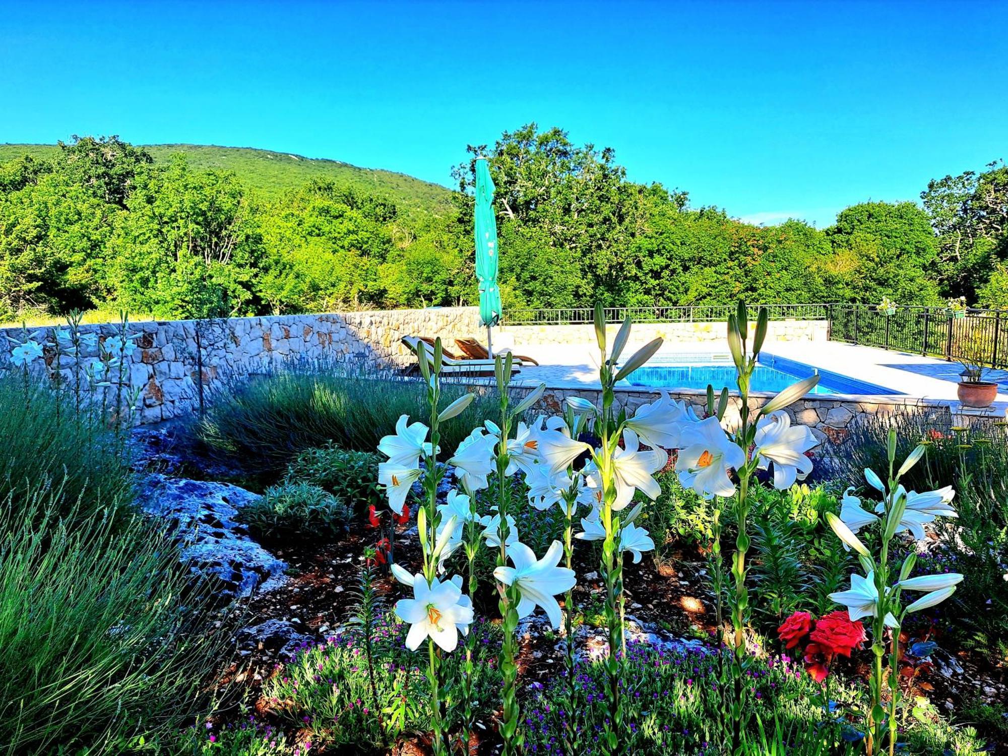 Relaxing Dalmatian House In Village Ljubitovica Exterior foto
